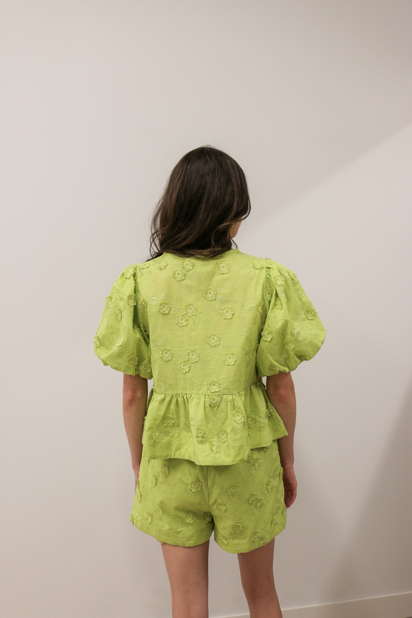 Embroidered Floral Appliqué High Waisted Elastic Waist Shorts - Apple Green