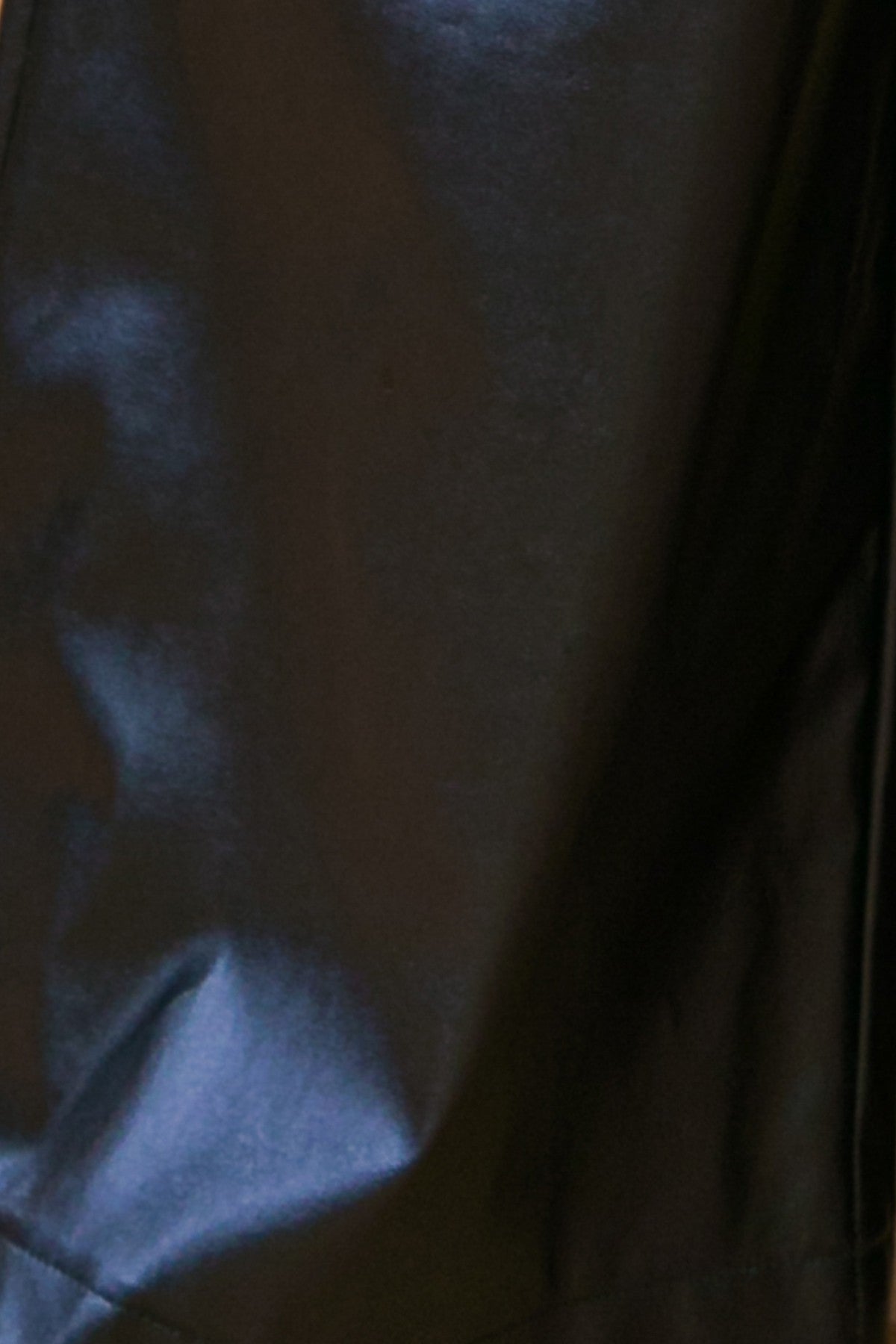 Ellen Wide Leg Drawstring Coated Leather Pant - Black