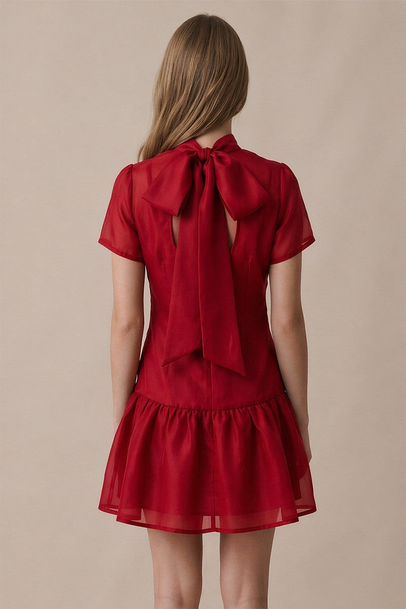 Odette Soft Organza Sheer Slip Short Sleeve Mini Dress - Red